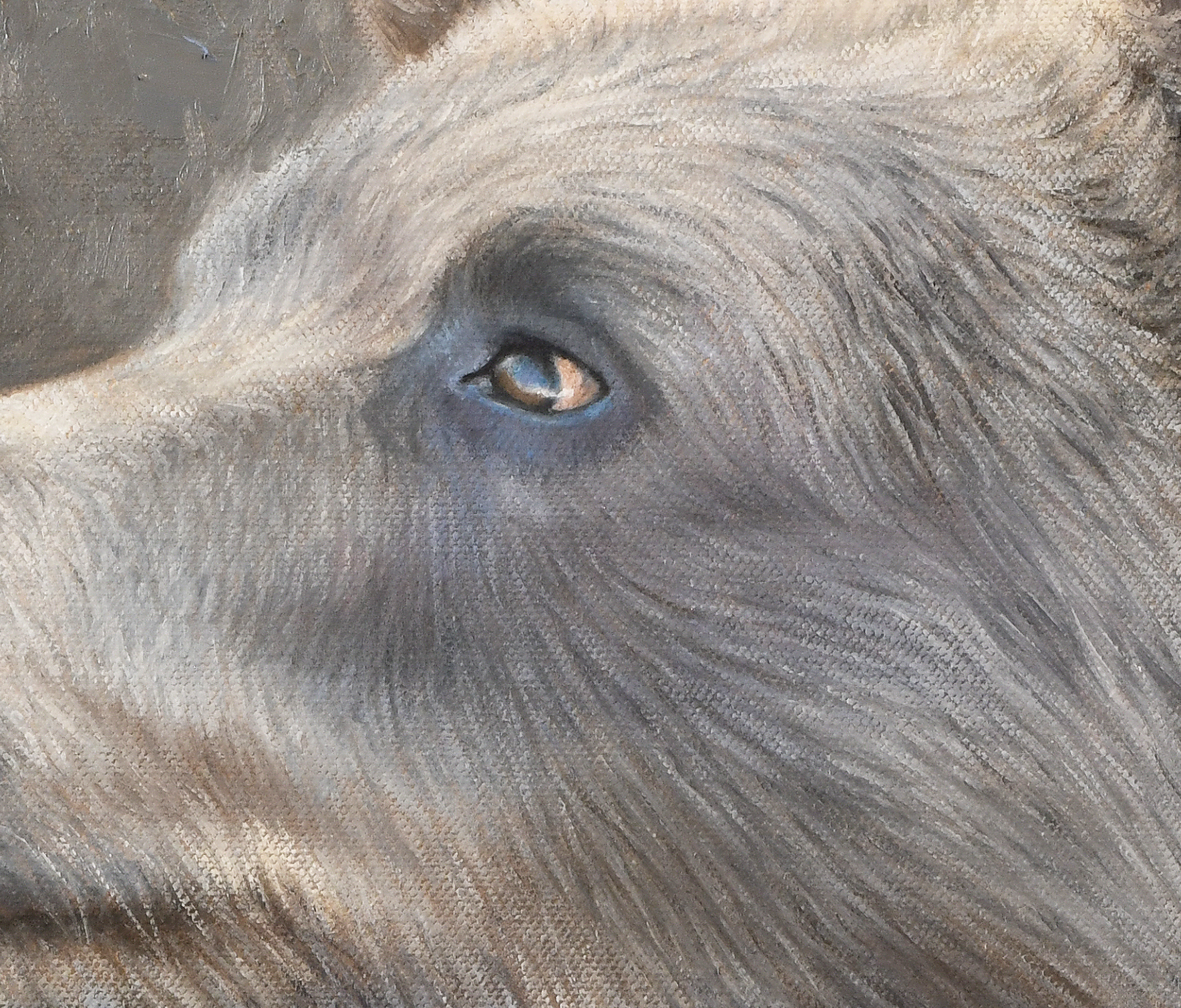 James Corwin Fine Art - Vente Affiche d'art - Grizzly et colibri - The Messenger II - Impression artistique3