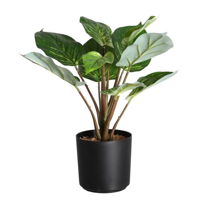 Plante, Af Plastik, I Grøn Farve, På 20X20X32cm for engroshandel hos B&B