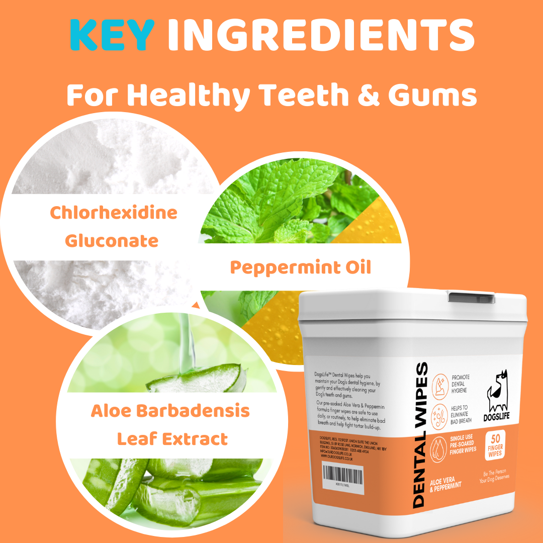 OurPetsLife – wholesale Godis - Hund – Rengöringsservetter för hundtänder5