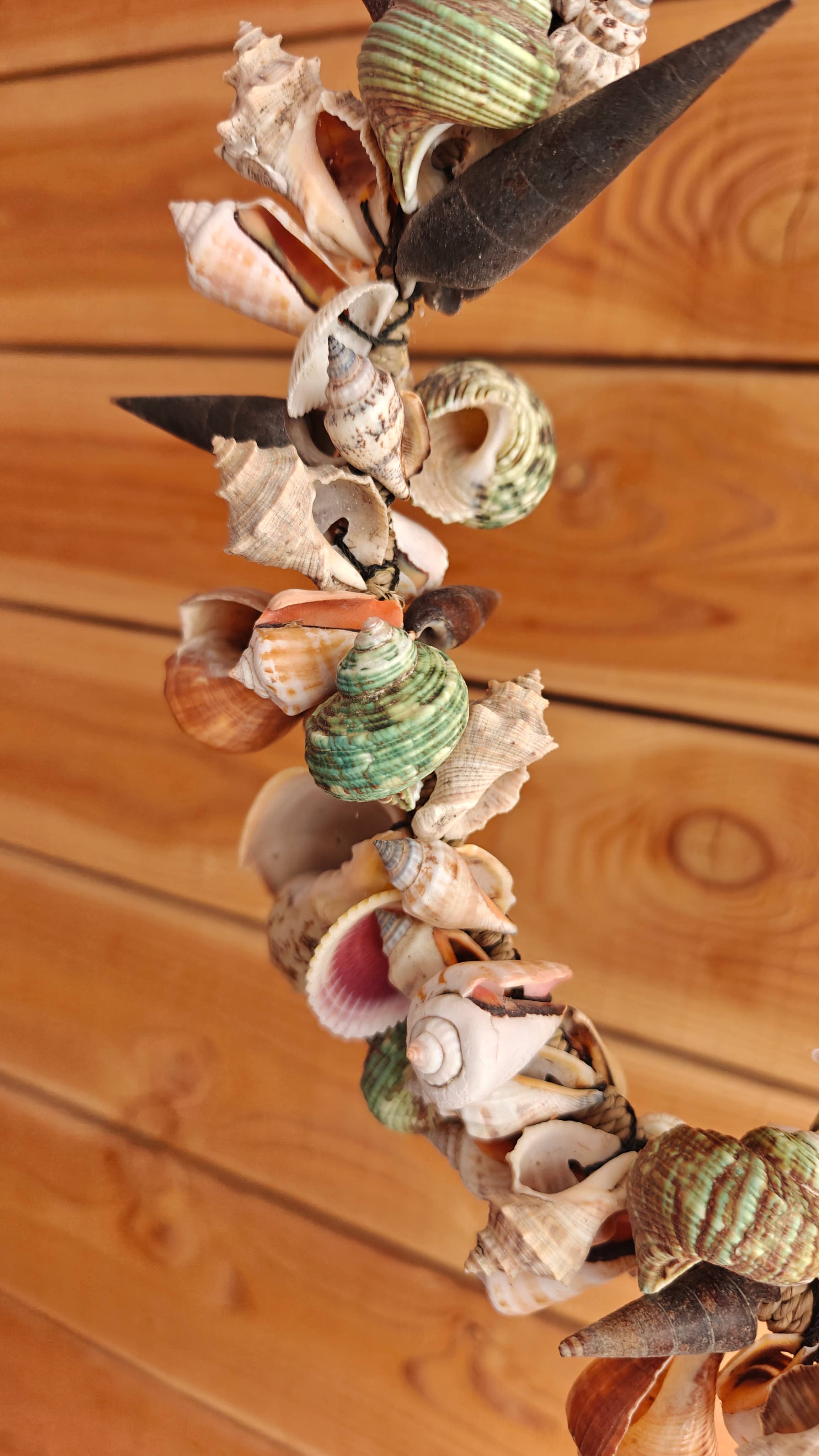 Product Import Holland - Wholesale Decorative Tabletop Object - Shell wreath 30 cm - Ibiza - decoration - shells1