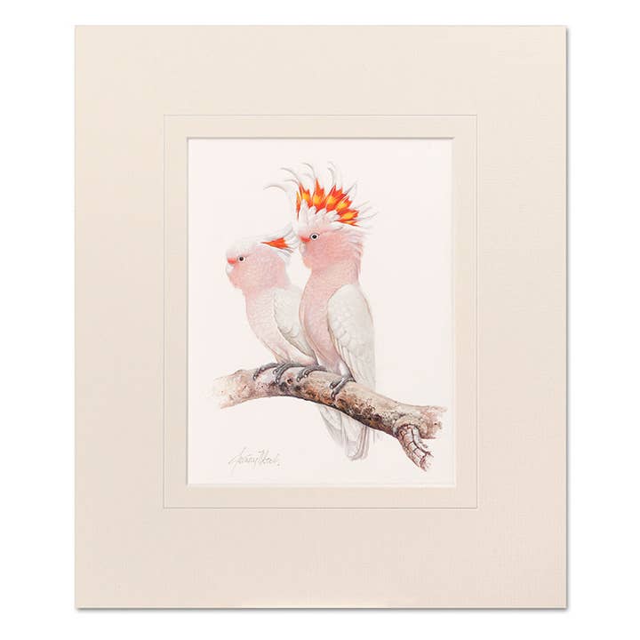 Wandbild - Rosafarbene Kakadus für den Großhandel von Jeremy Boot Collections