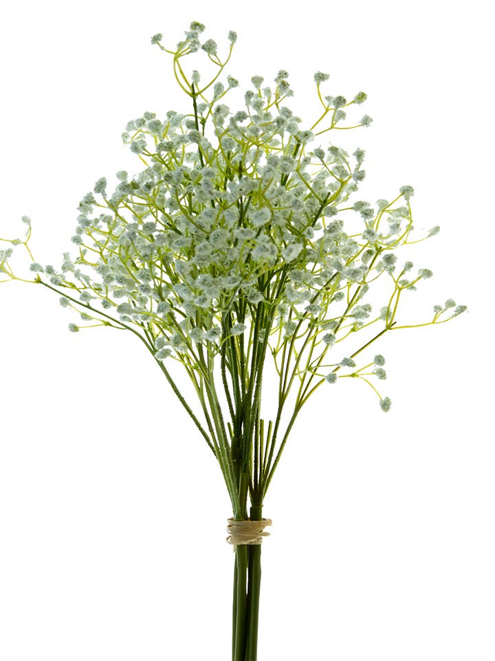 Bouquet de gypsophile de 16 pouces pour la vente par American Best