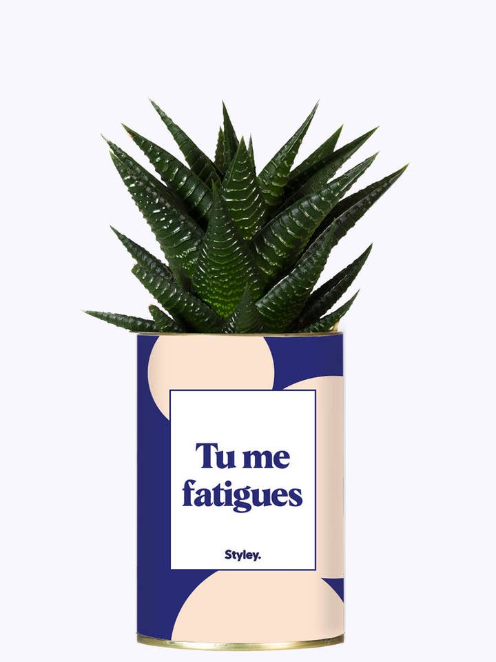 Je Word Moe Van Jou - Cactus voor wholesale door Styley