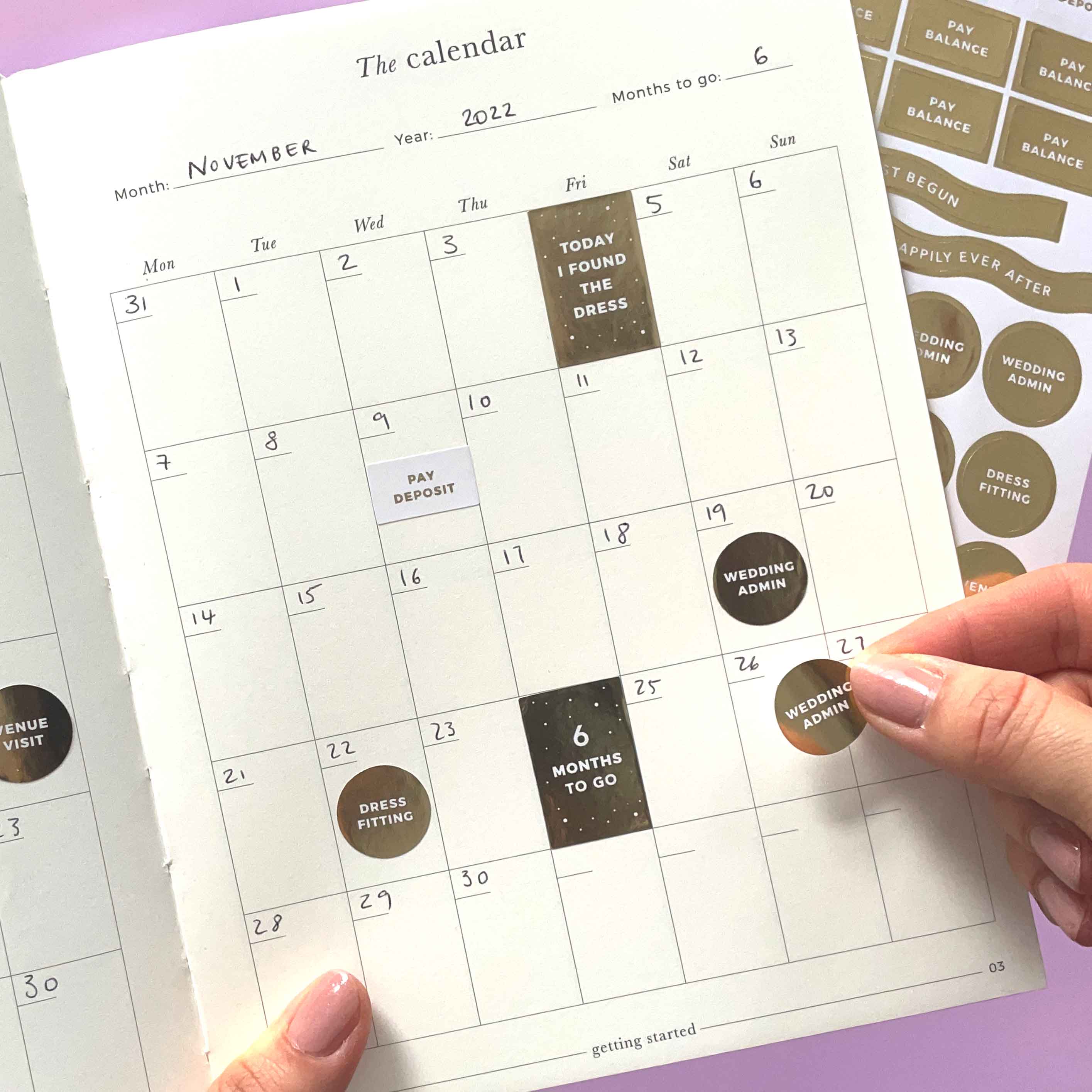 Blush And Gold – wholesale Sticker – Wedding Sticker Pack (3 sheets)6