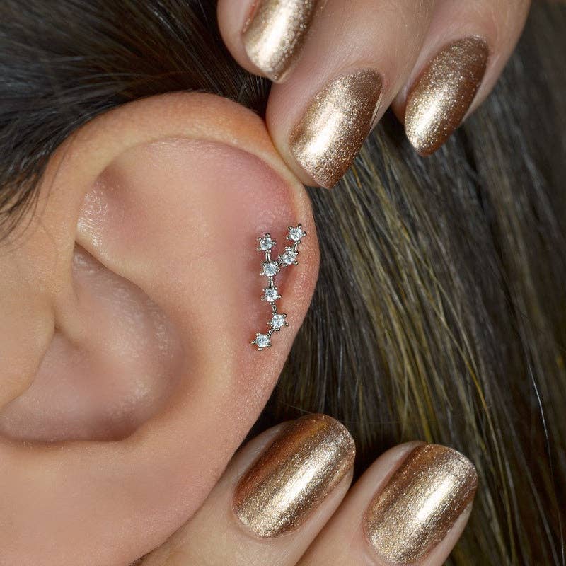 StockJWL - Wholesale Stud/Post Earrings - 12 Zodiac Earrings, Constellation Stud Earring Stud Piercing Tragus Helix Lobe and Cartilage Silver And Gold35