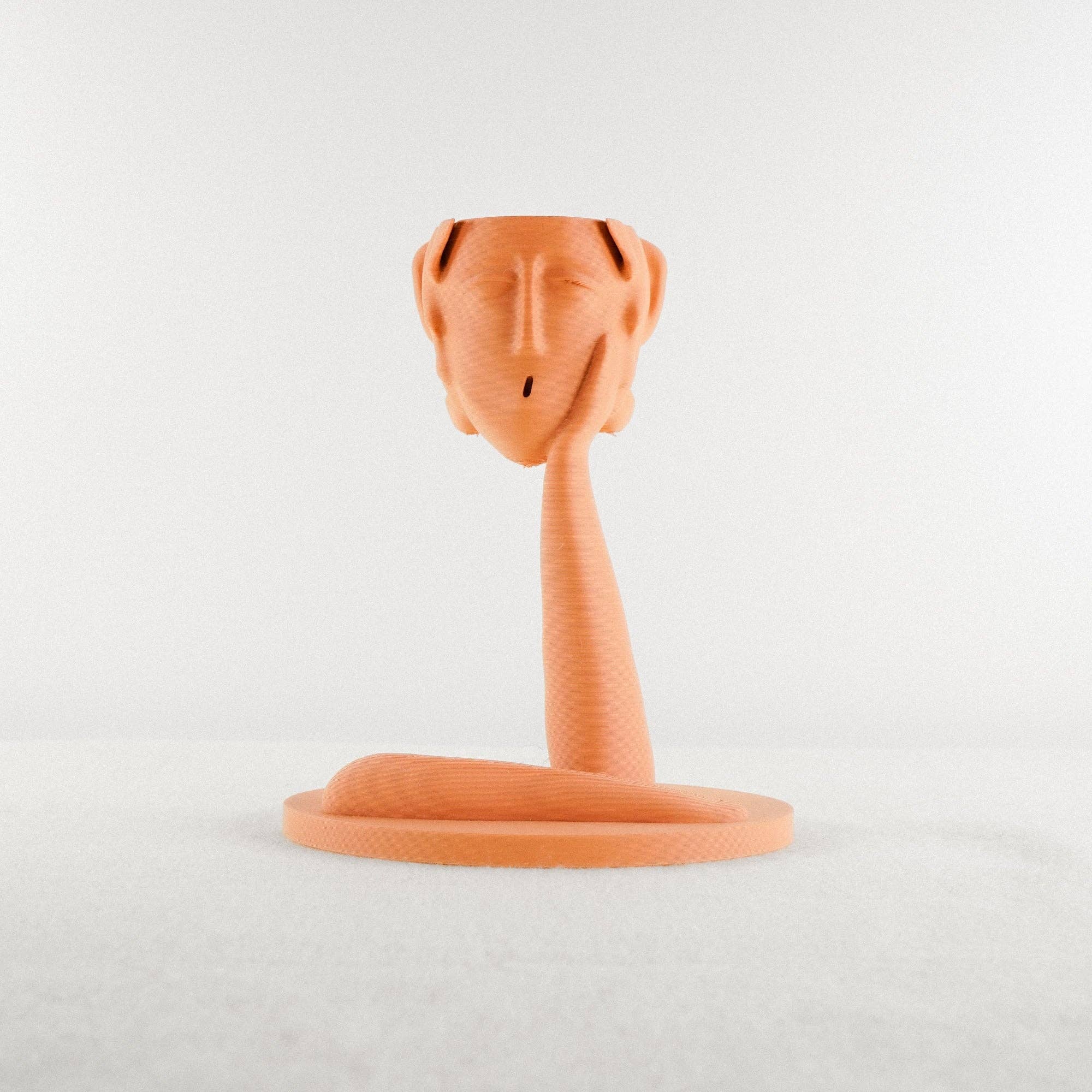 Rosebud Homegoods - Vente Pot - Jardinière Tête Méduse Air3