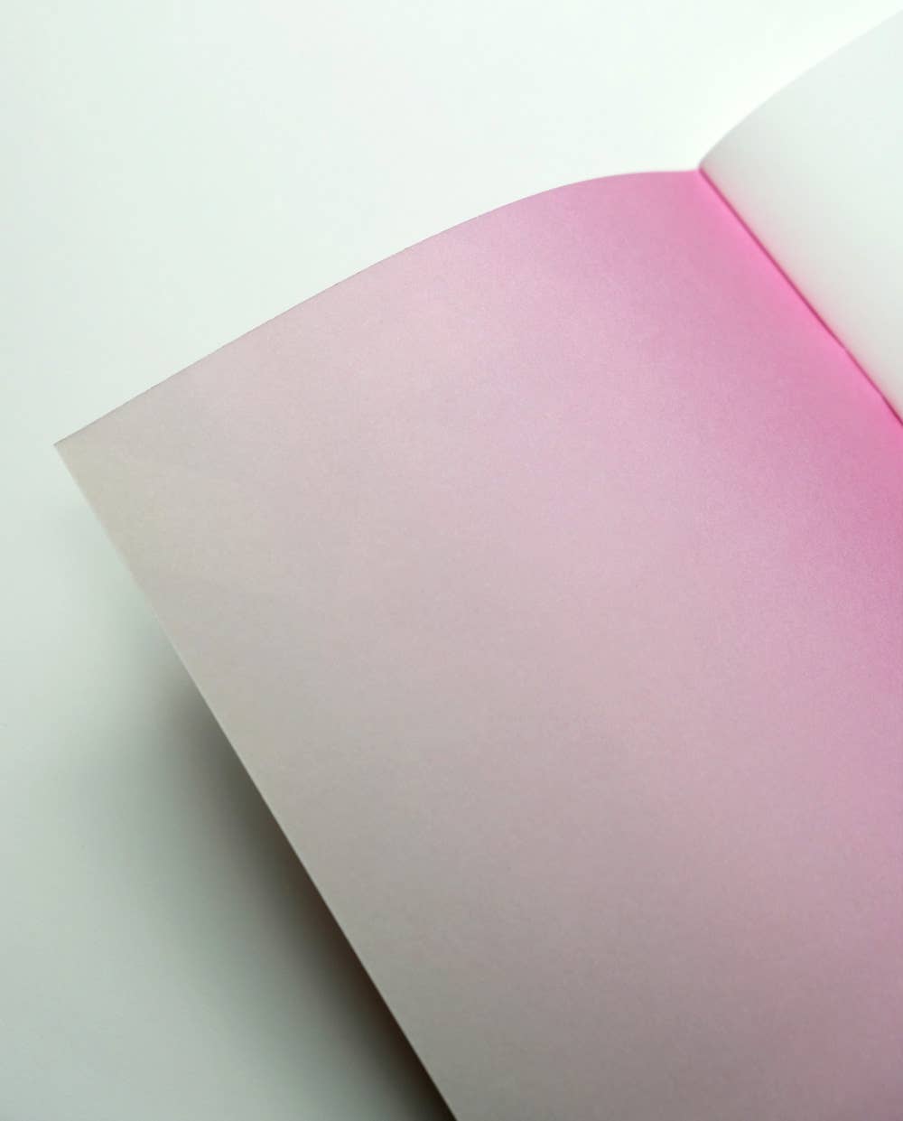 Haferkorn & Sauerbrey - Wholesale Notebook - Palazzo Rosa Notebook1