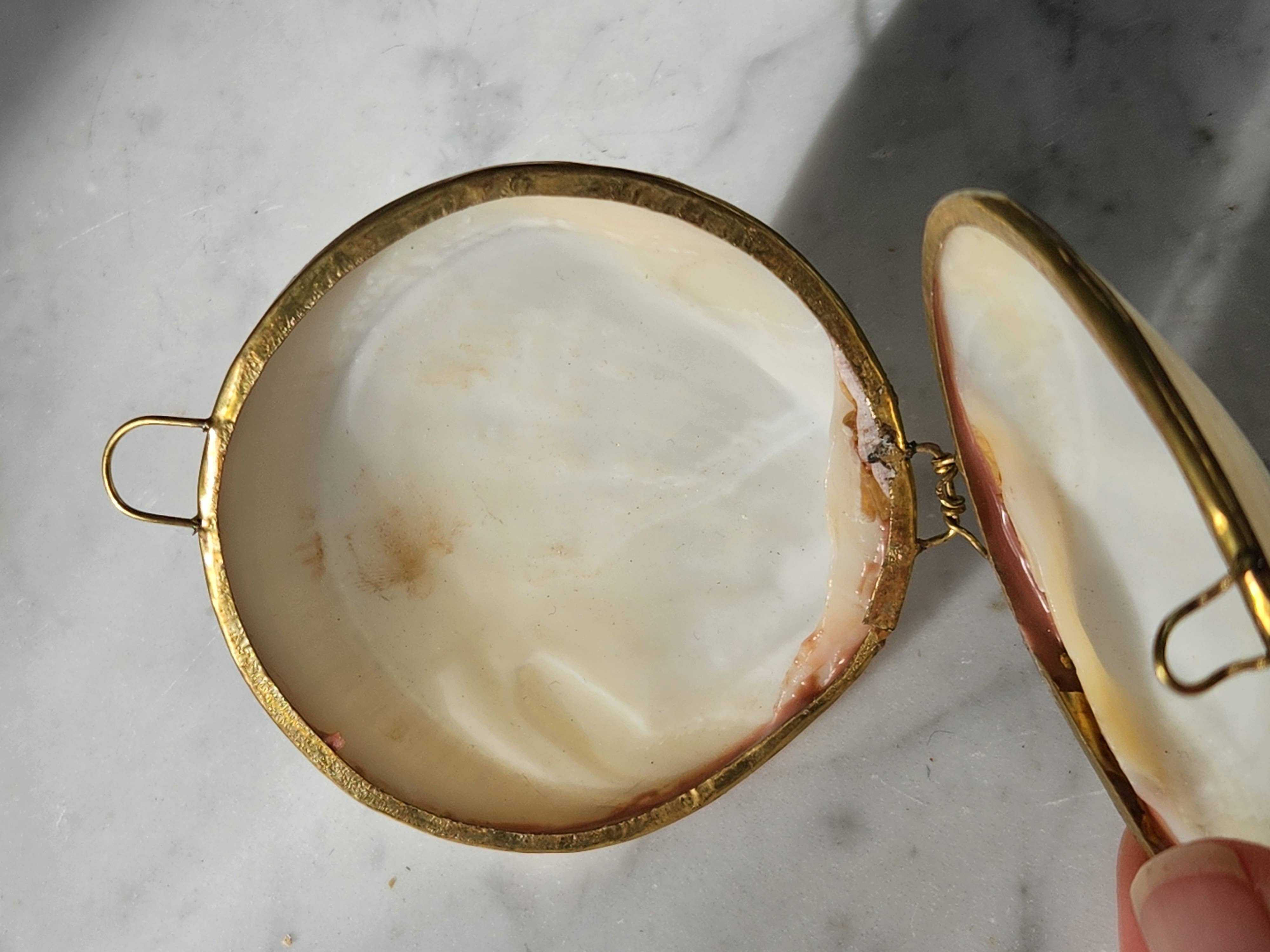 White Tulip Boutique - Wholesale Decorative Box - Mini Clam Trinket Pill Box, Coin Purse7