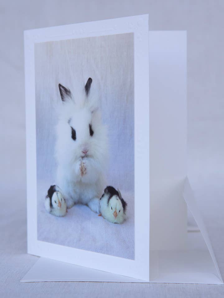 Bunny Slippers - Rescue - Handmade Greeting Card for wholesale by Sonoma Chicks