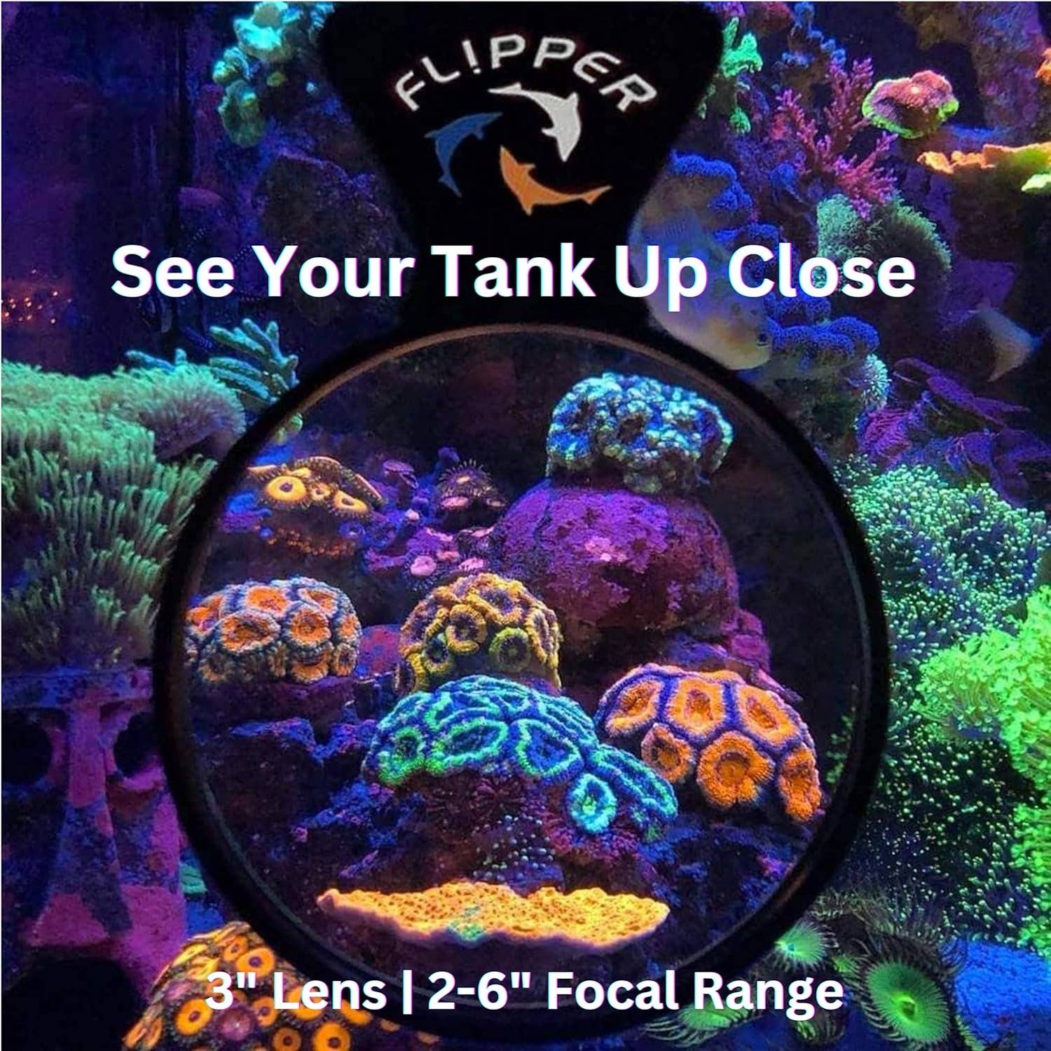 Flipper Aquarium Products – wholesale Magnifying glass – DeepSee Nano Magnified Magnetic Aquarium Viewer 3"6