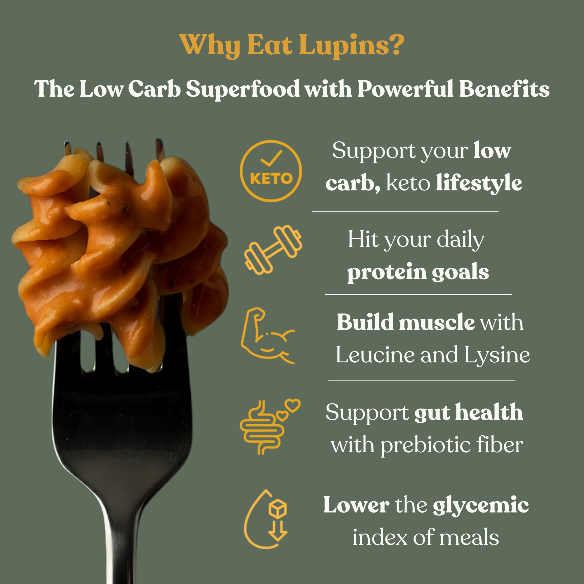 Chef's Kiss - Wholesale Pasta - Lupin Low Carb Rotini Pasta - 5lb Bulk Box 6