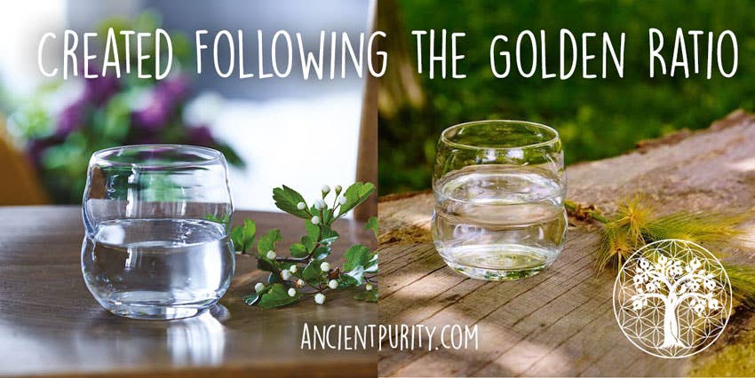 Ancient Purity - Wholesale Drinking Glass/Cup - Sacred Geometry Glass 250ml | 24 Carat Gold Flower of Life  4