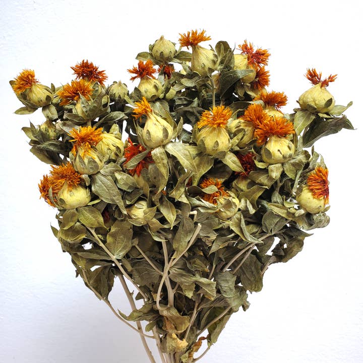 Dried Safflowers (4oz bunch) for wholesale by BLOOMINGFUL.COM