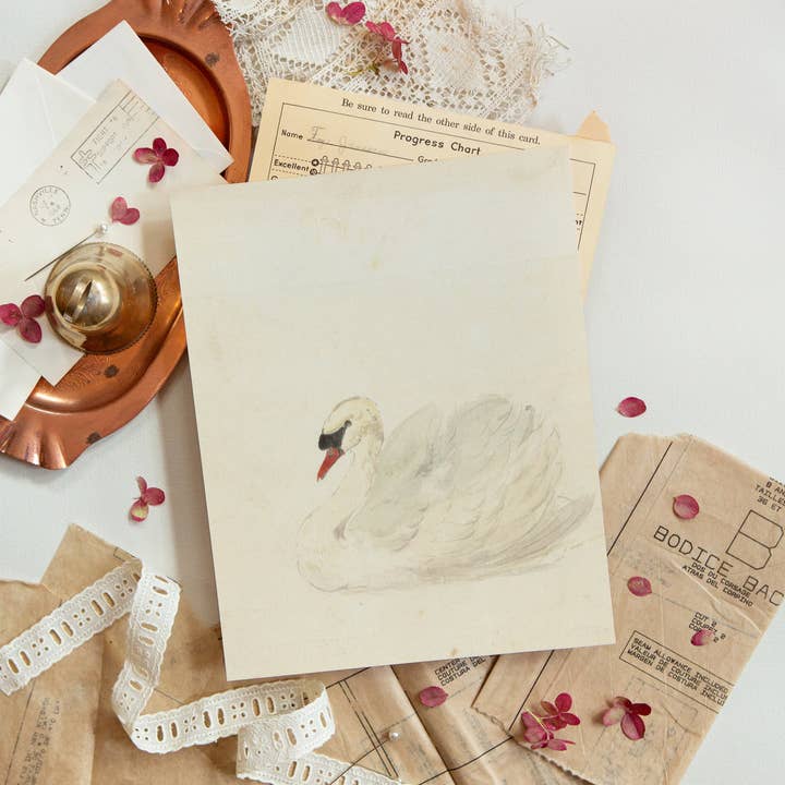 Ivory Swan | Art Print for wholesale by Lindsay Letters