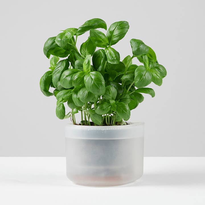Till Planter - Small Single - self-watering plant pot for wholesale by Boskke