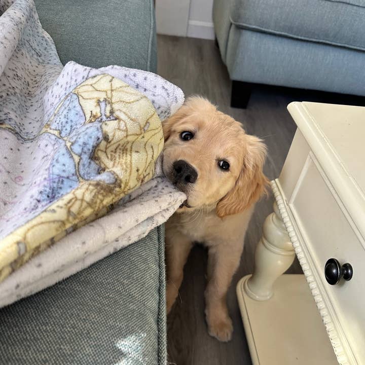 Maritime Tribes LLC - Wholesale Throw Blanket - Throw Blanket -> super soft 11