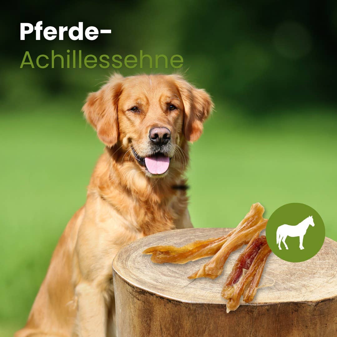 Kauartikel.com GmbH - Wholesale Pet Bone/Rawhide - Dog - Horse Achilles tendon1