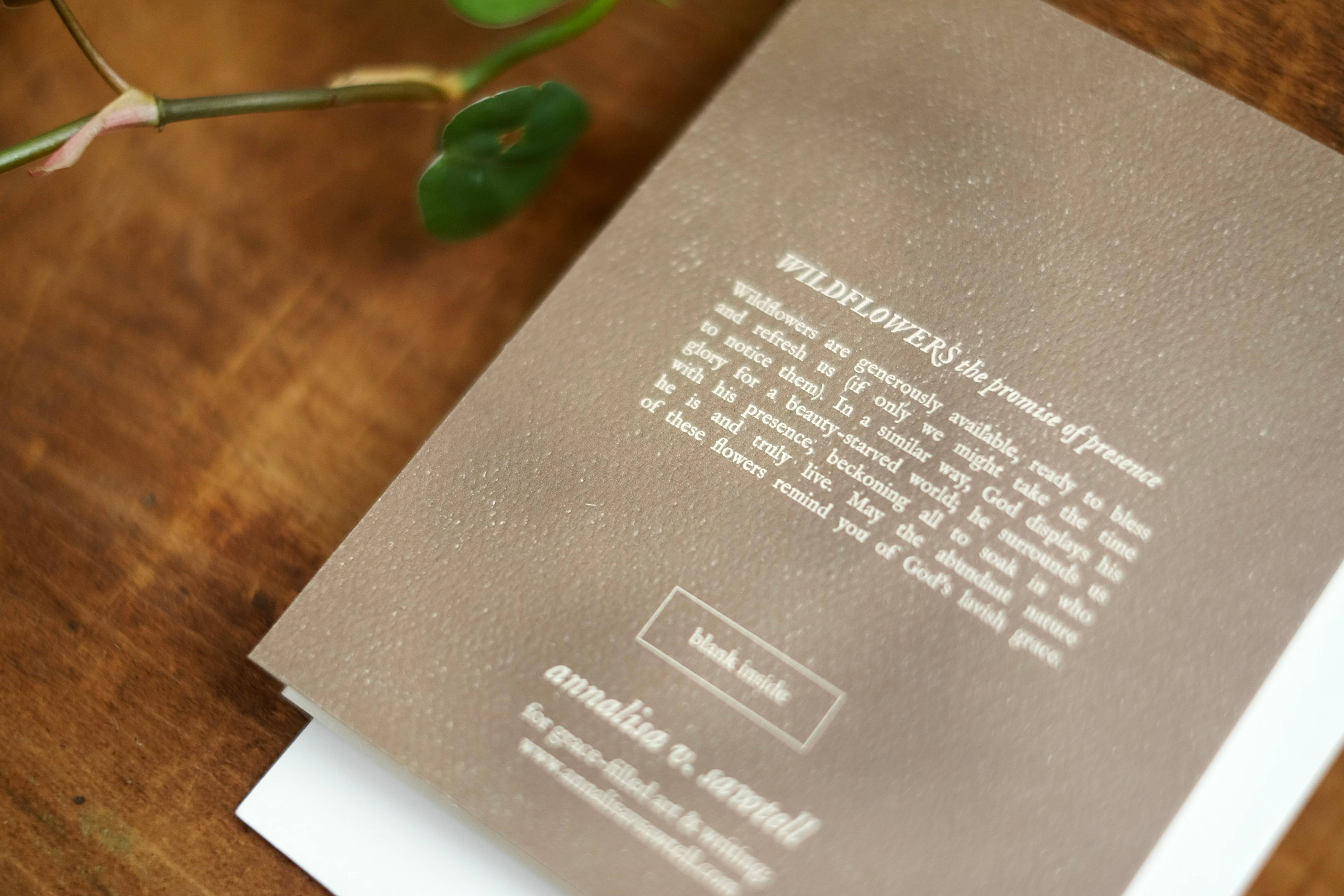 annalisa v. sawtell - Wholesale Stationery/Notecard Set - The Botanical Promises Collection | Boxed Set of 8 | A212