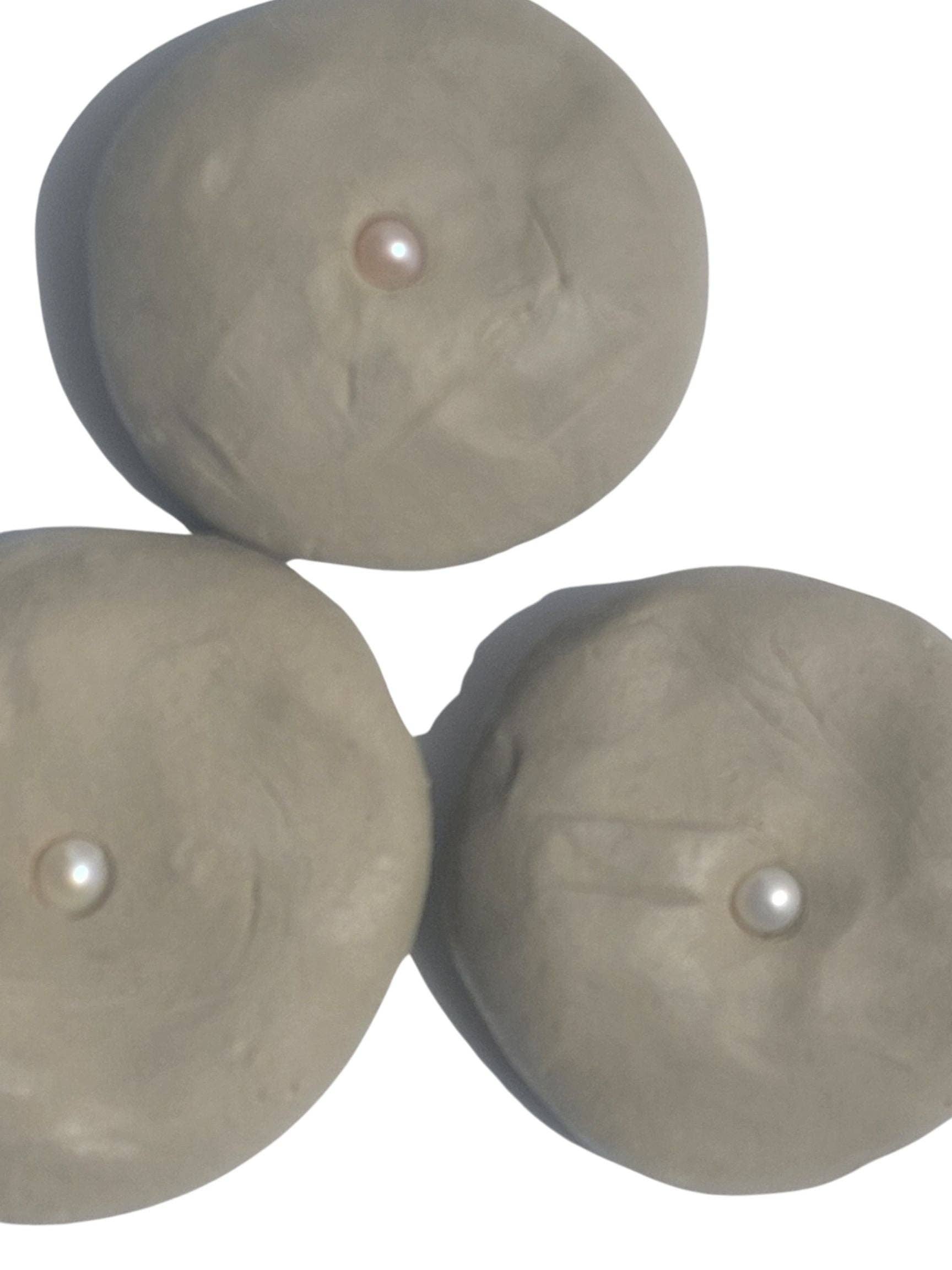 gbb Goodbetterbest Skin - Wholesale Shampoo Puck/Solid Shampoo - Handmade Healthy hair-growth enhancing Shampoo Bar 100g with Holistic mindful energy for scalp and hair fermented rice, rosemary, alma, biotin, keratin, genuine pearl…1