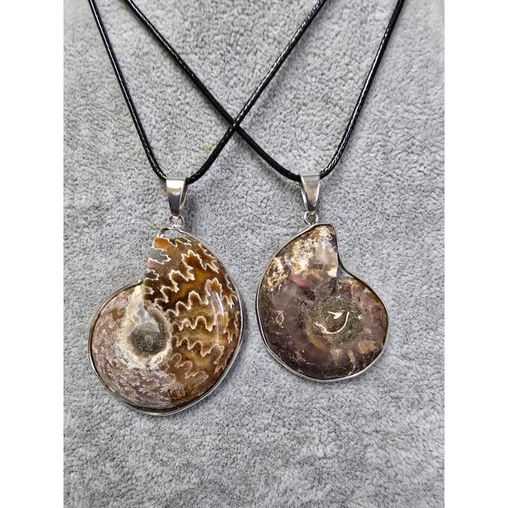 2 Greeks Inc - Wholesale Pendant/Charm Necklace - Handcrafted Mollusk Necklace – Unique Natural Shell Jewelry1