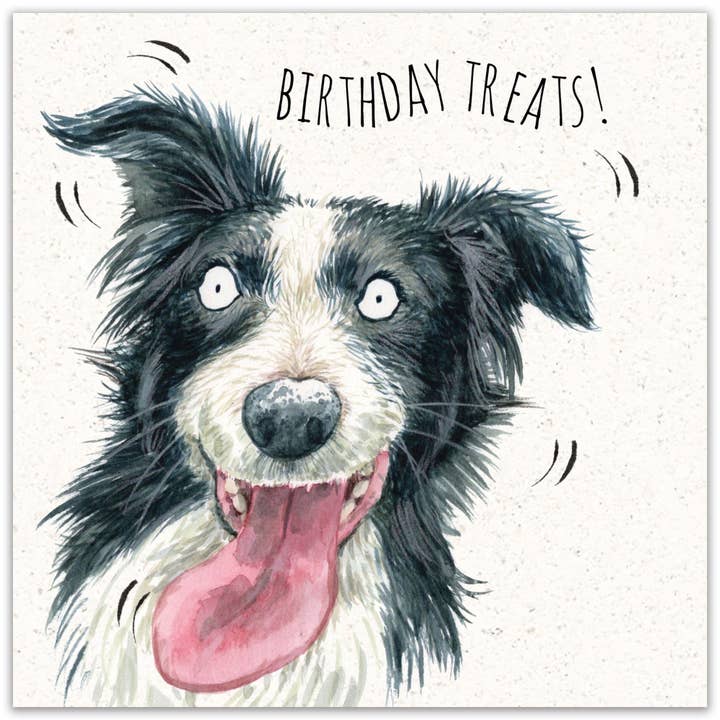 Twizler Ltd - Wholesale Birthday Card - Border Collie Birthday Treats - Funny Birthday Card