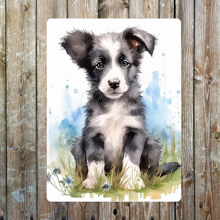 Border Collie Watercolour Dog Puppy Decor Metal Sign Plaque for wholesale by The British Metal Signs Company