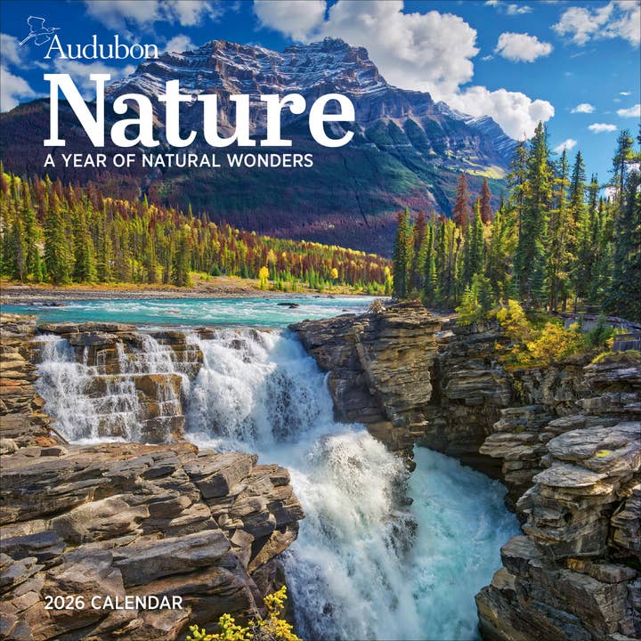 Audubon Nature Wall Calendar 2026 for wholesale by Hachette Book Group