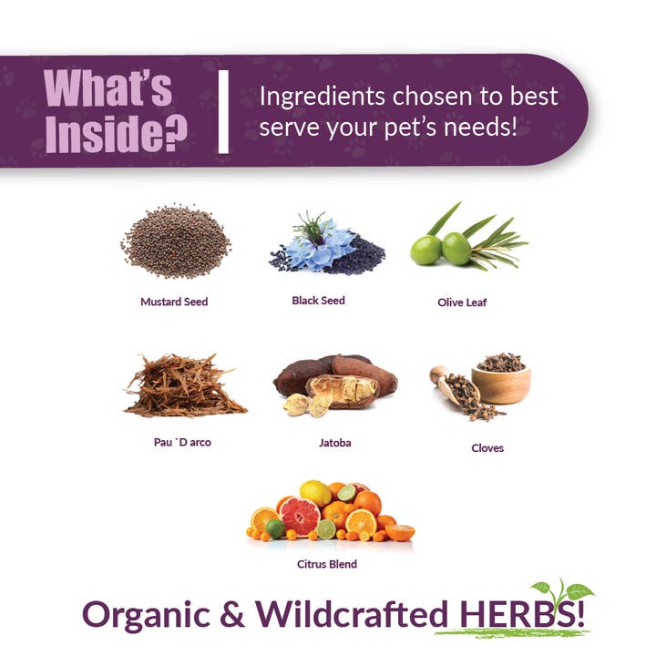 Amber NaturalZ, Inc. – Großhandel Nahrungsergänzungsmittel für Haustiere – Katze/Hund – Replaid XL | Reptilien-Ergänzung2