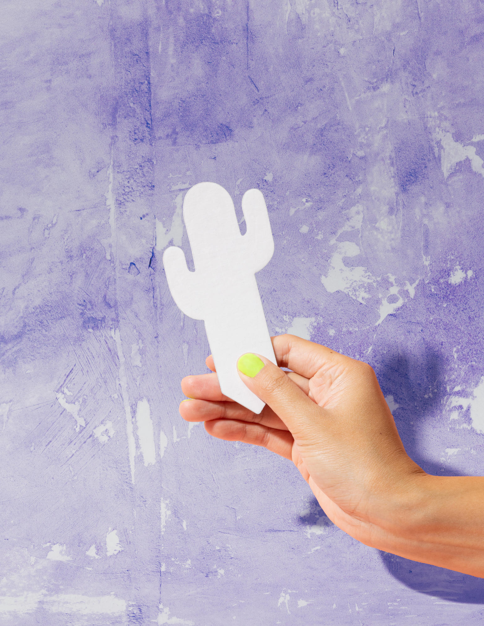 PlantDoc - Wholesale Garden Tool - Cactus PlantDoc: Color-Change Plant Moisture Meter3