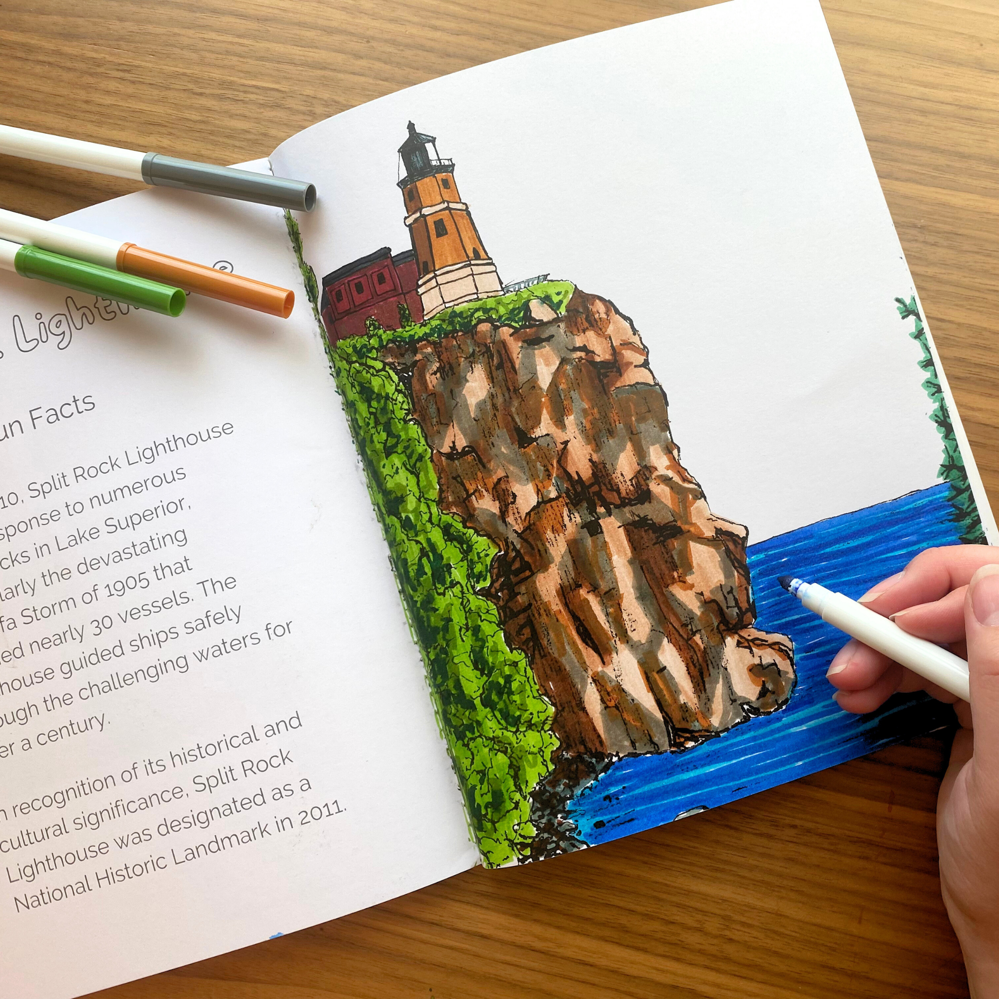 Alyssa Whetstone Art - Wholesale Coloring & Activity Book - Adult - Minnesota Hand-Drawn Coloring Book1