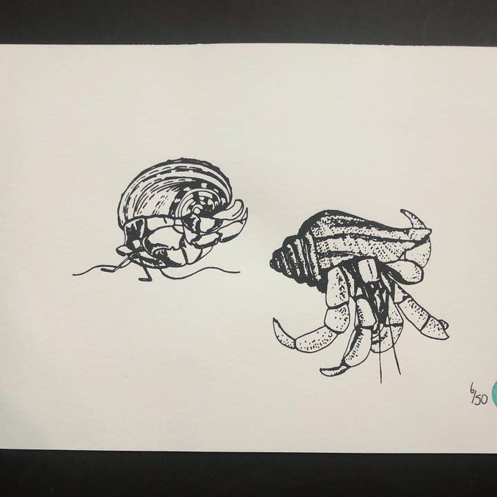 Omonterat eremitkräftapartryck för wholesale av Turquoise Gem Home