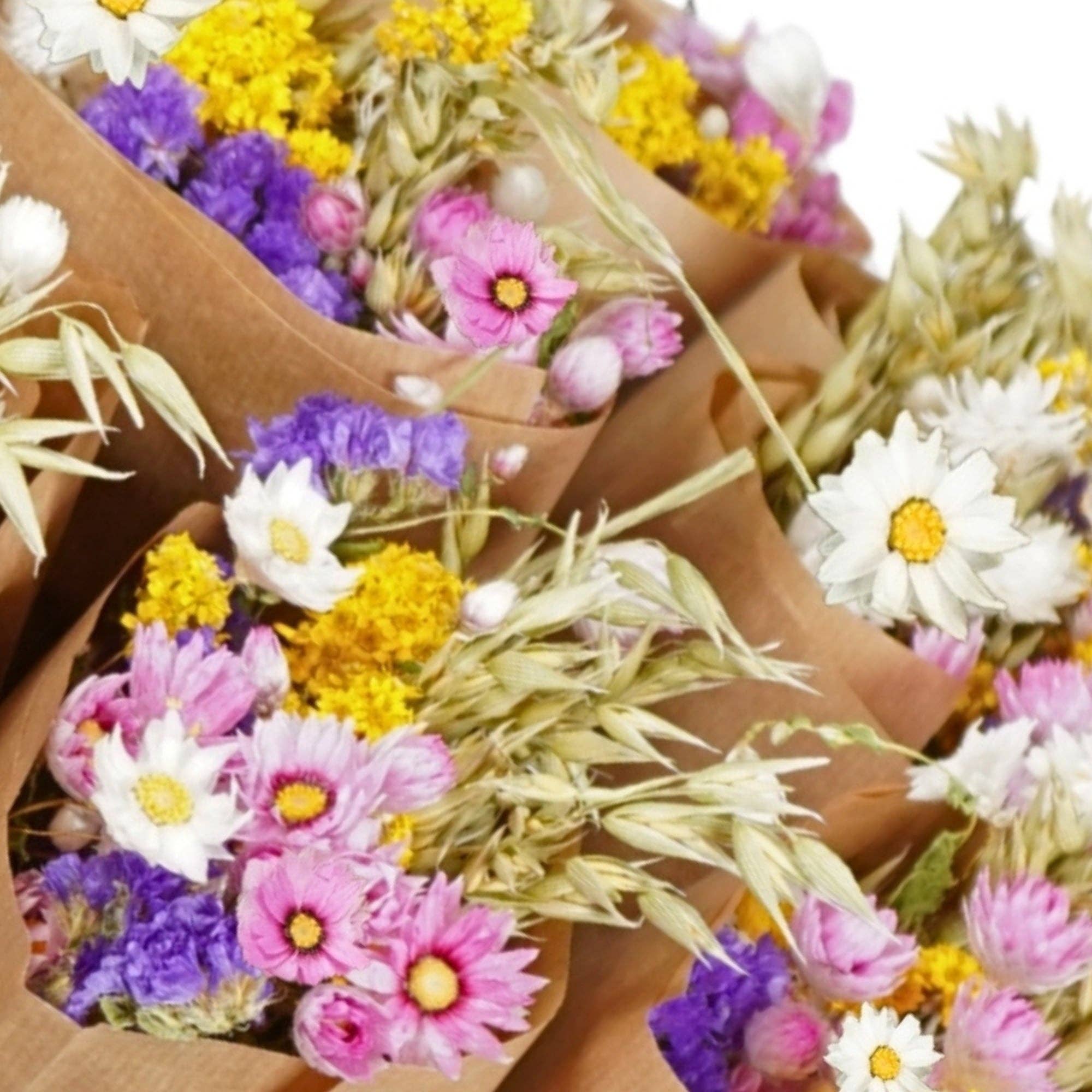 Wildflowers by Floriette – Flores secas/prensadas por atacado – Flores Secas - Mercado mais - Holandês1