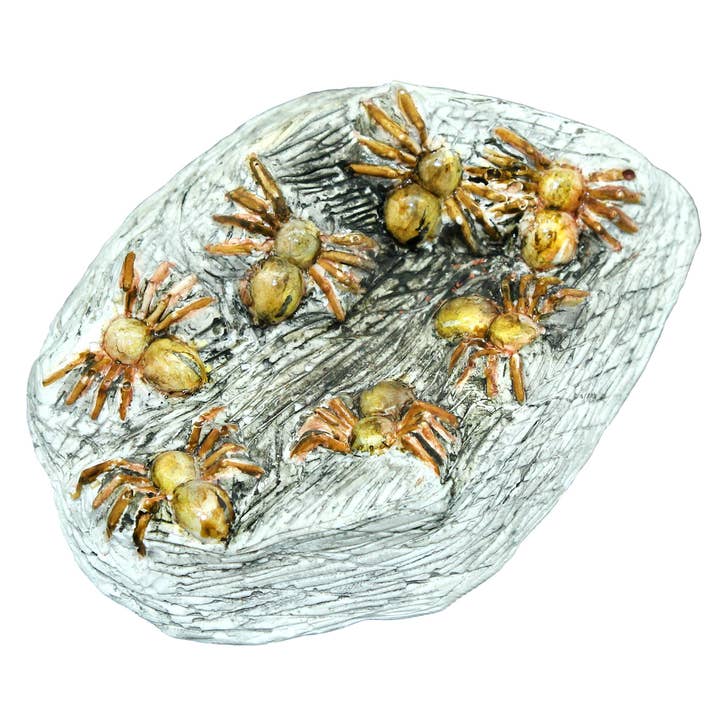 Learning Advantage - Wholesale DIY Craft Kit - Kids - Extreme Spiders of the World5