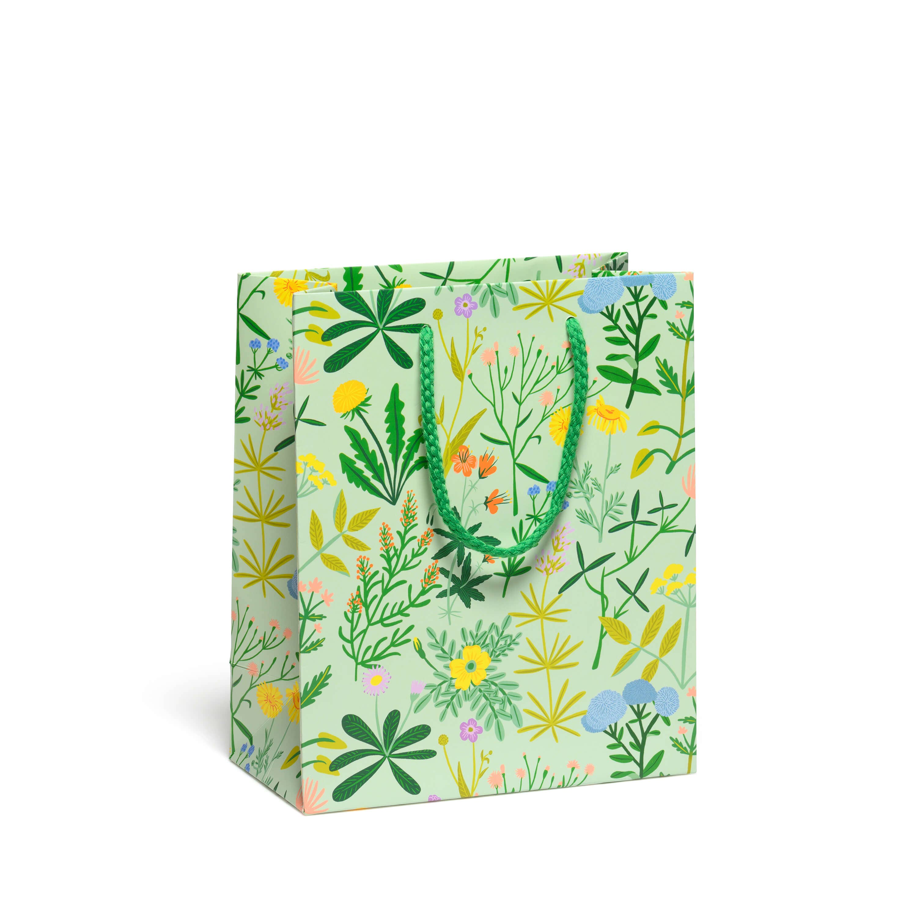 Red Cap Cards - Wholesale Gift Bag - Growing Wild gift bags0