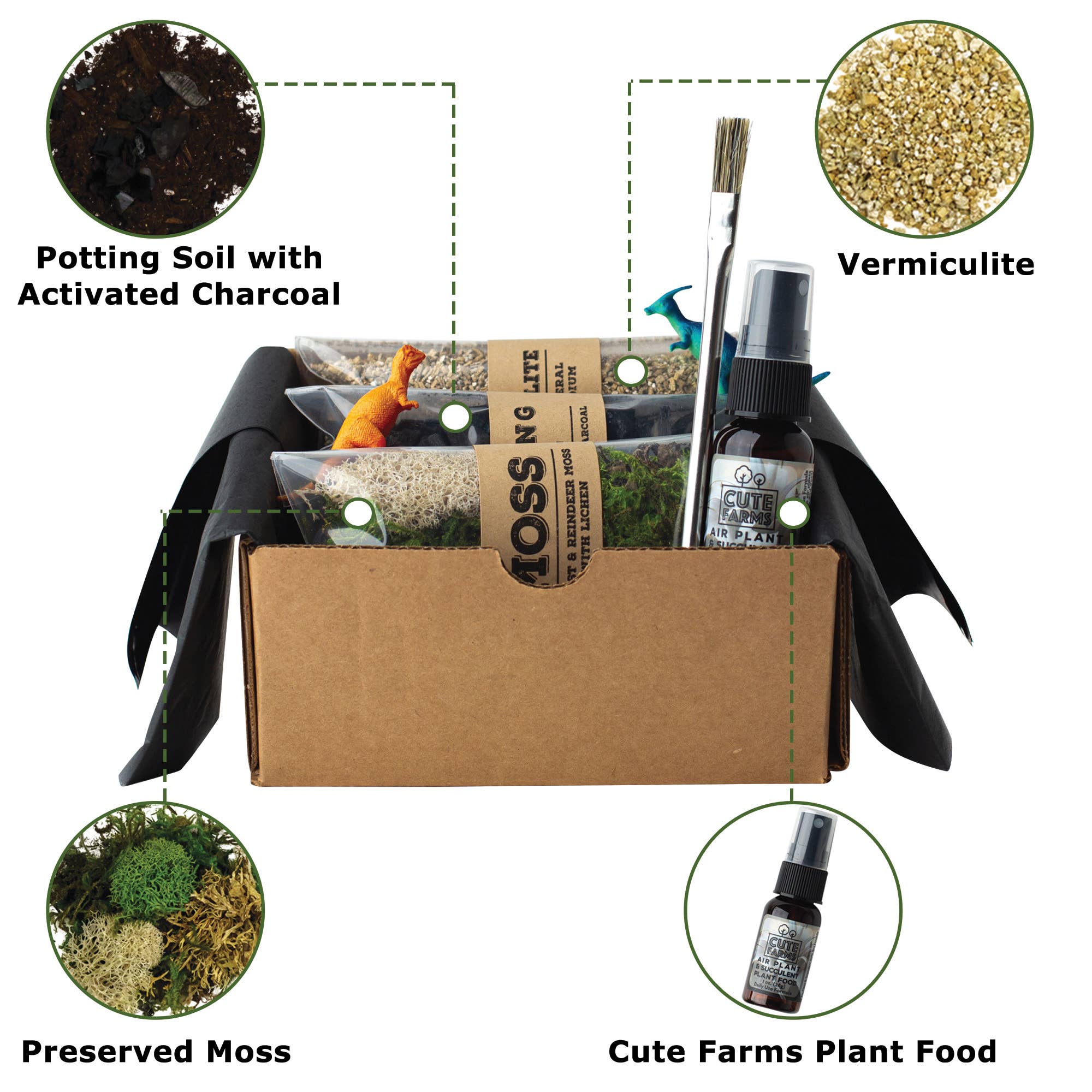 Cute Farms - Vente Kit de bricolage - Kit de démarrage pour terrarium3