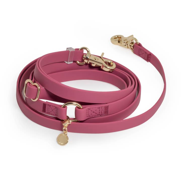 SUNNY TAILS - Vente Laisse – chien - Laisse pour chien Hands Free Cloud convertible 4-en-1 Burgundy0