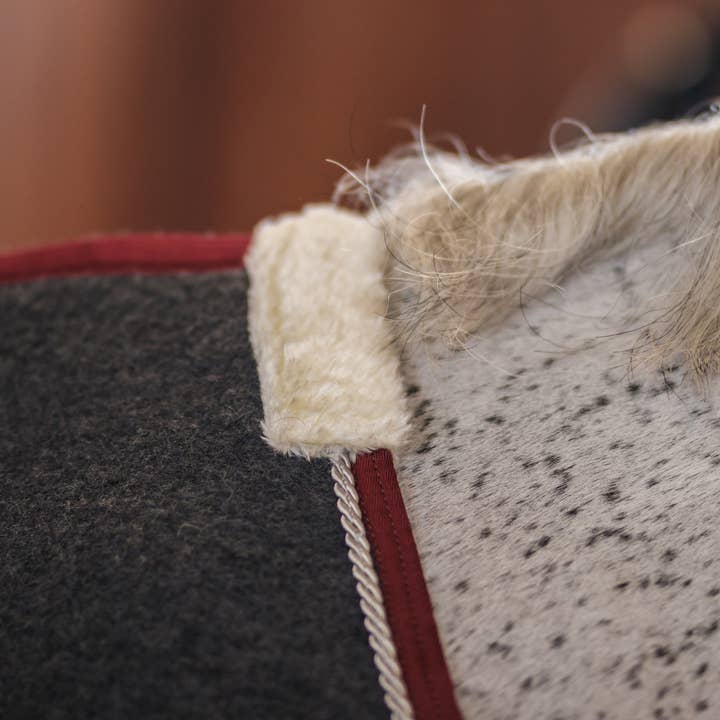 Refroidisseur en laine Adirondack pour la vente par CommonWealth