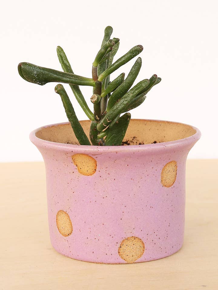 Small Ceramic Planter - Polka Dot for wholesale by Nightshift Ceramics