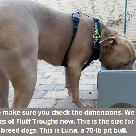 Fluff Trough - Venta al por mayor Comedero - Gatos y perros - Juego de insertos de silicona Fluff Trough XL5