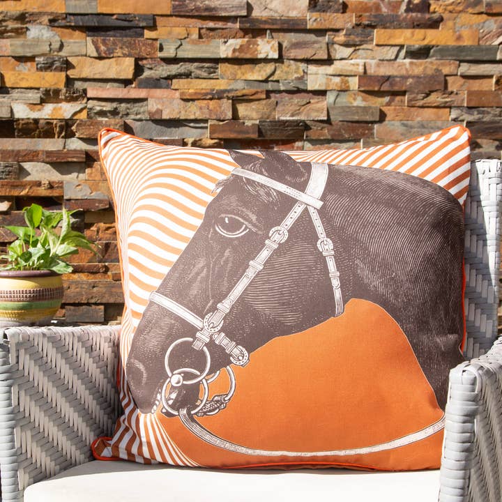 THOMASPAUL – wholesale Throw/decorative pillow – CHEVAL OPTIQUE OUTDOOR PILLOW 22"X22"3