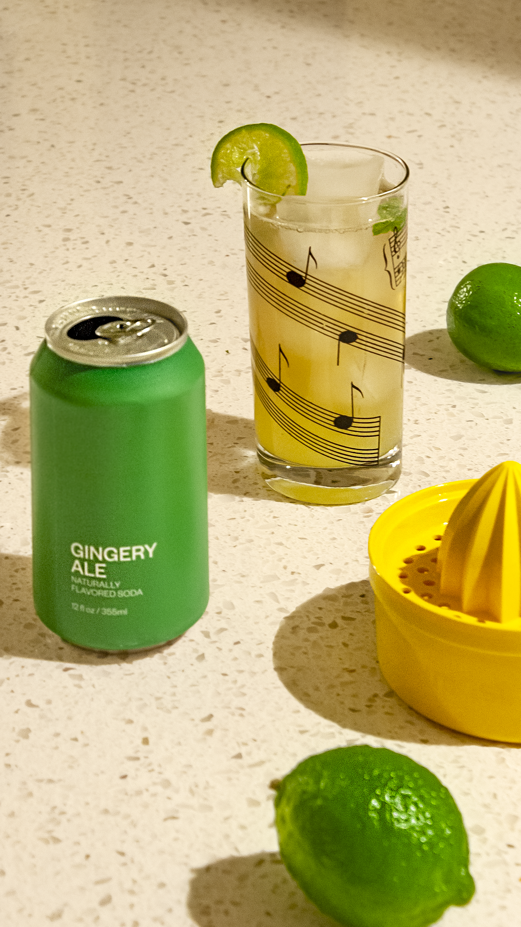 United Sodas - Wholesale Soda/Carbonated Drink - Naturally Flavored Soda - Gingery Ale5