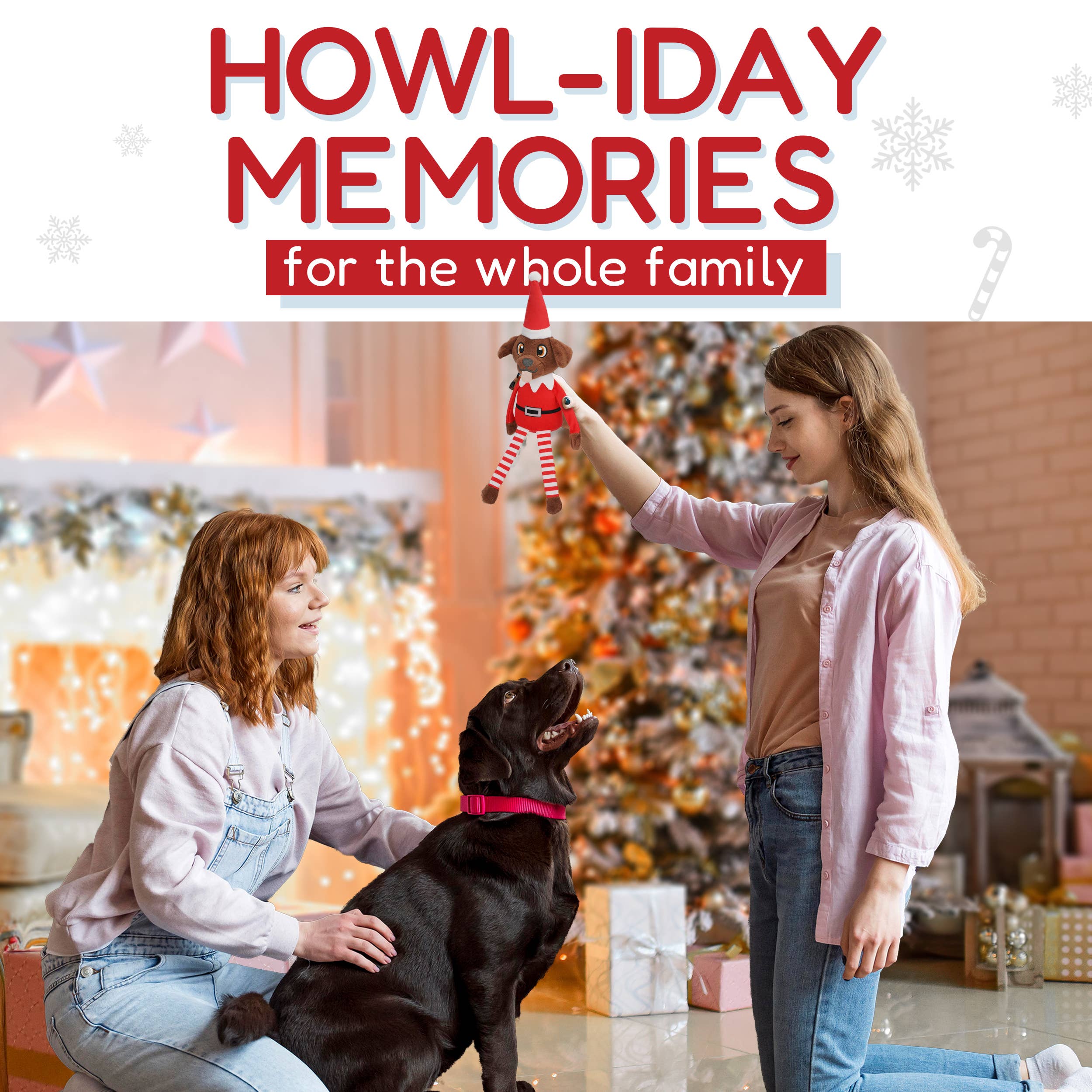 PUPROAR - Wholesale Pet Squeaky Toy - Dog - Pooch On A Perch- Christmas Dog Toys, Squeaky and Crinkly 5