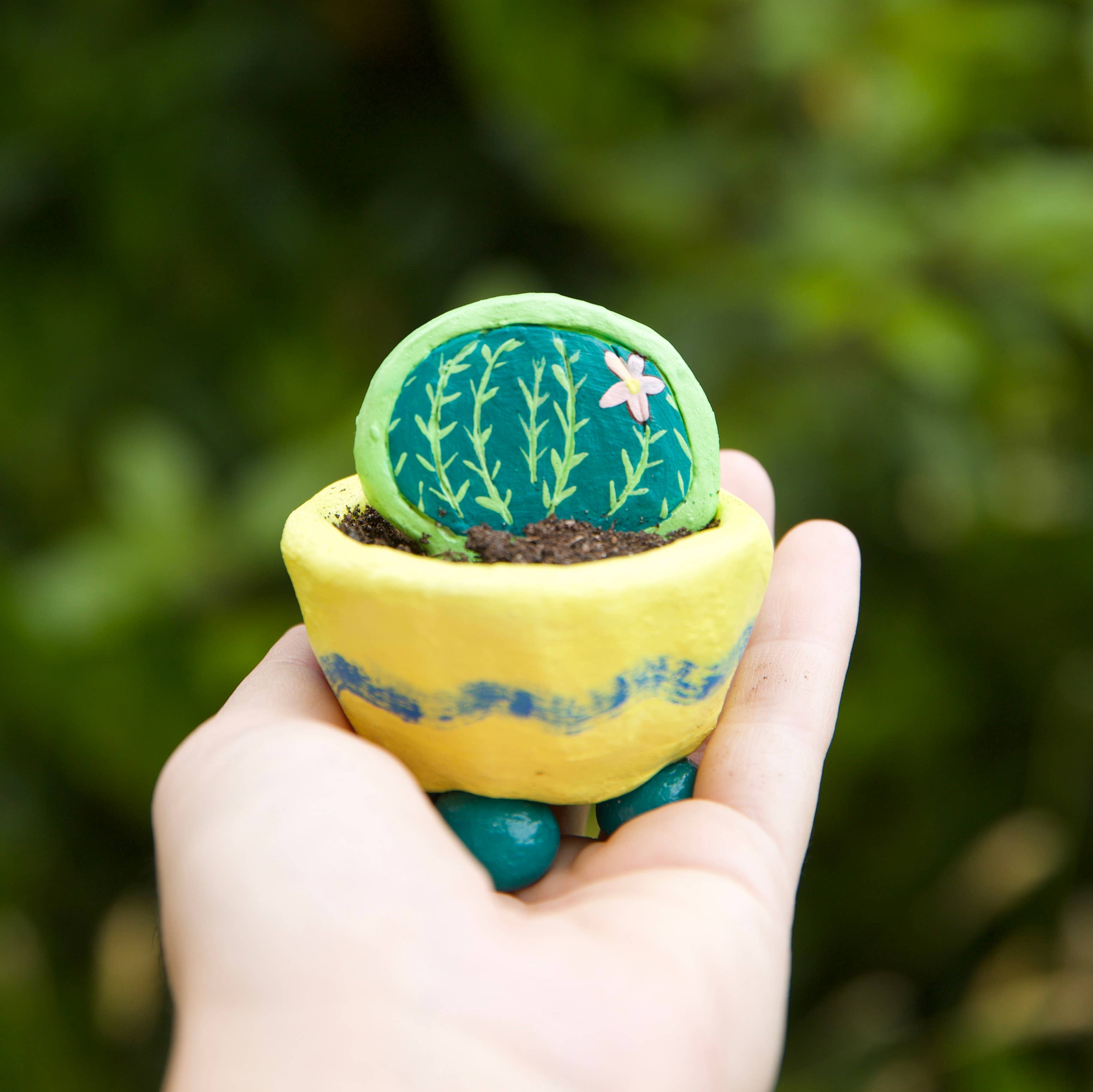 West Design Products – wholesale DIY craft kit – Child – Royal Horticultural Society Air Dry Clay Kit Nature5