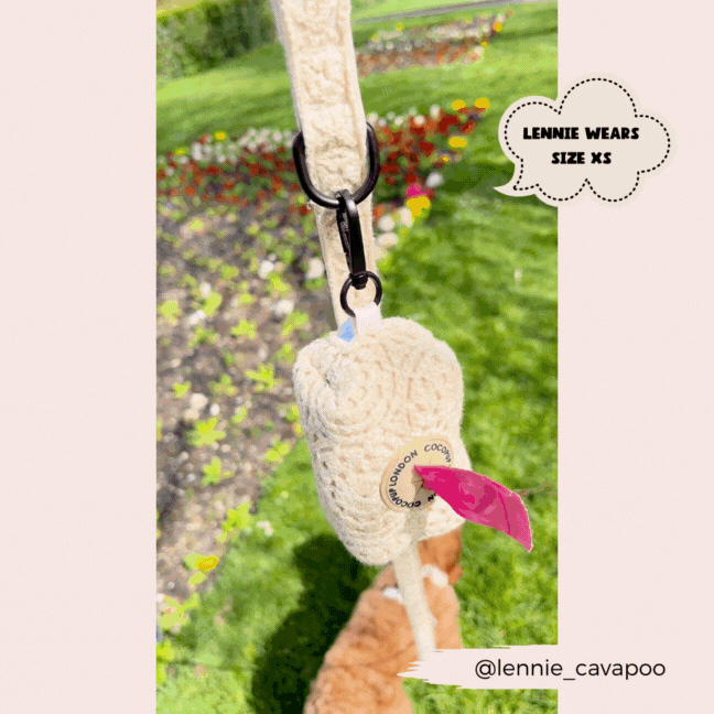 Cocopup London – Großhandel Leine – Hund – Festivalhäkelnadel2