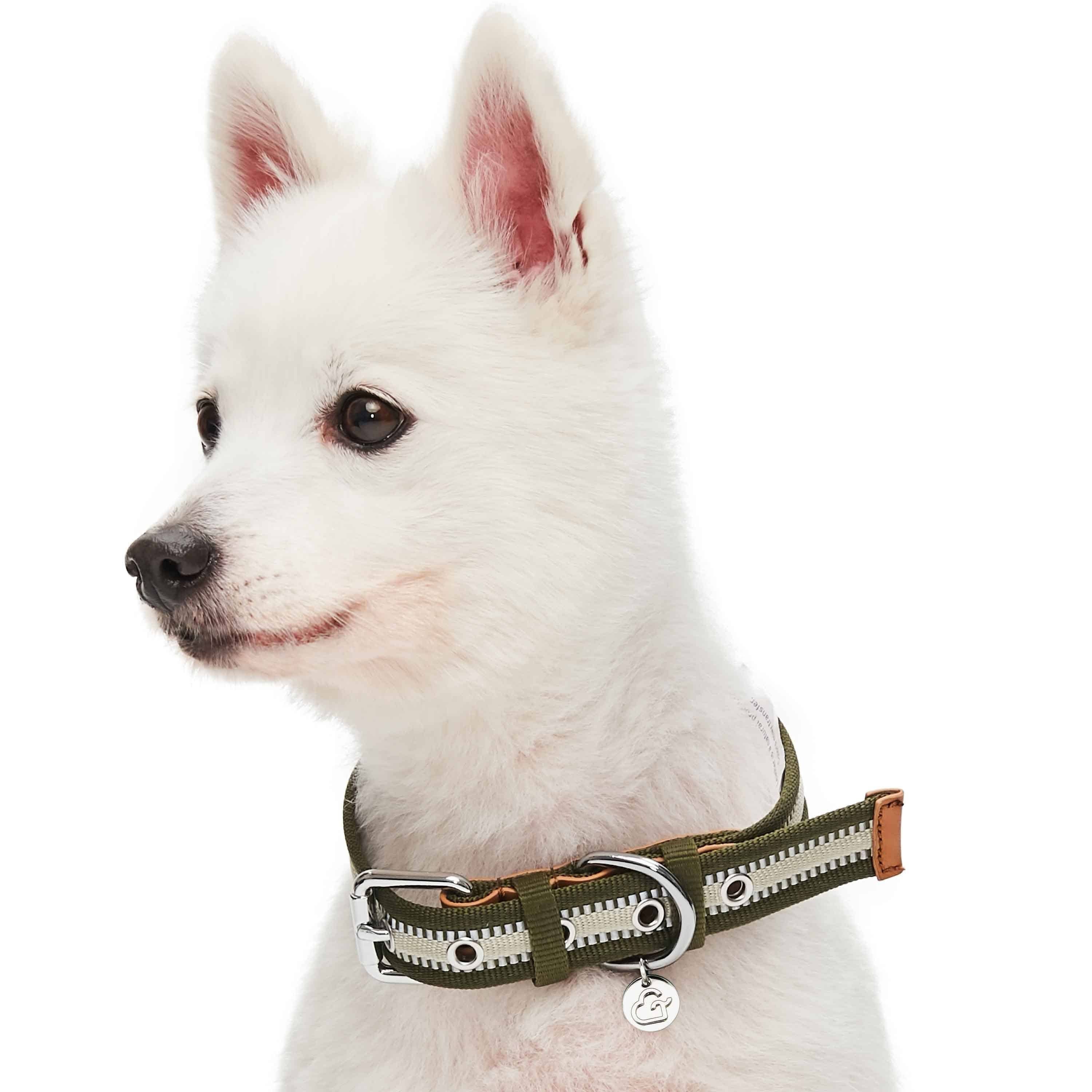 Blueberry Pet – wholesale Halsband - Hund – 3M Reflekterande Randig Hundhalsband – Hållbart & Stilfullt5