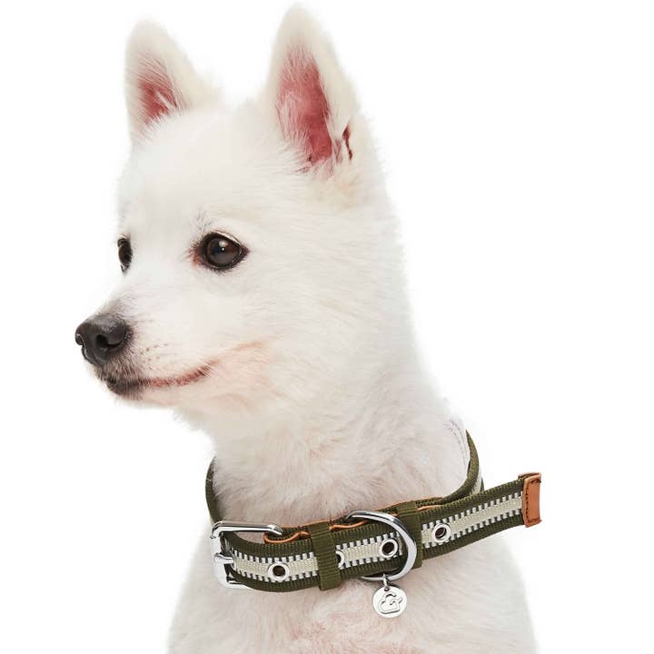 Blueberry Pet – wholesale Halsband - Hund – 3M Reflekterande Randig Hundhalsband – Hållbart & Stilfullt5