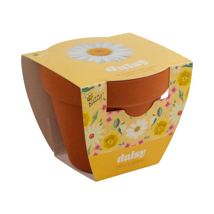 Buzzy, Inc. - Wholesale Plant Seeds - Buzzy Seeds Classic (7cm) Terra Cotta Grow Kit - Daisy