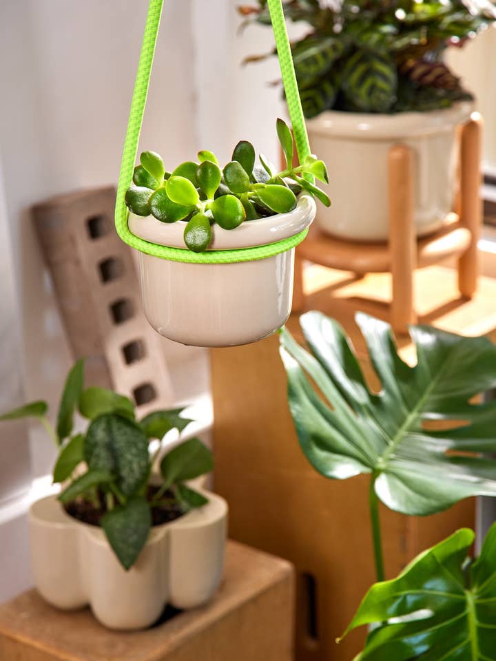 Hanging Rope for wholesale by Rooted