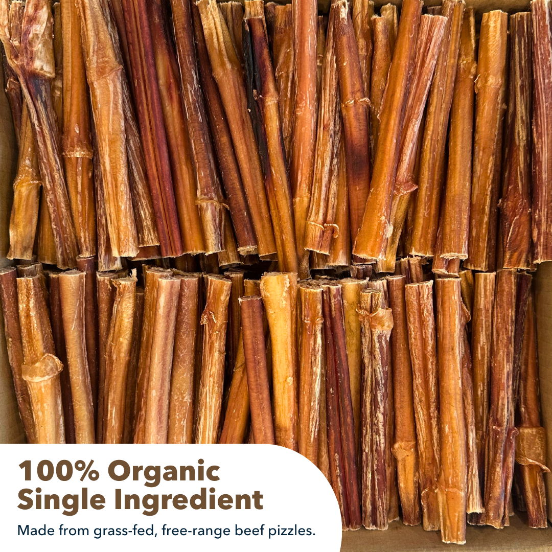 Mighty Chewz - Wholesale Pet Treats - Dog - 6" Standard Bully Sticks $1.22/ Stick (Case Price)5