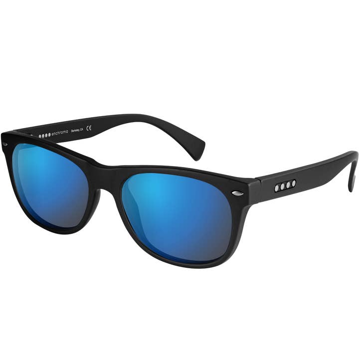 EnChroma - Wholesale Sunglasses - Unisex - Ellis Smooth Black Outdoor Deutan1